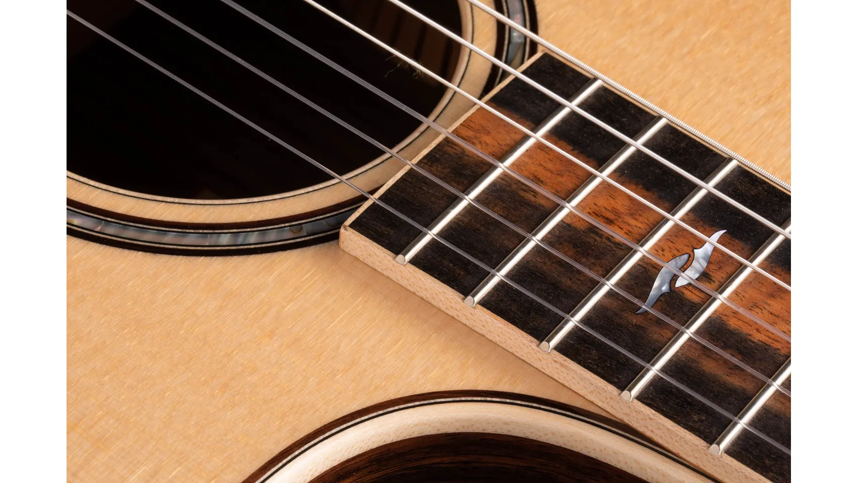 812ce-N Indian Rosewood Acoustic-Electric Guitar | Taylor Guitars